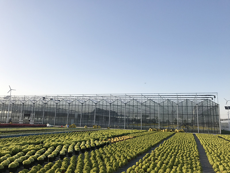 肇庆市智慧农业植物工厂 - 价格
