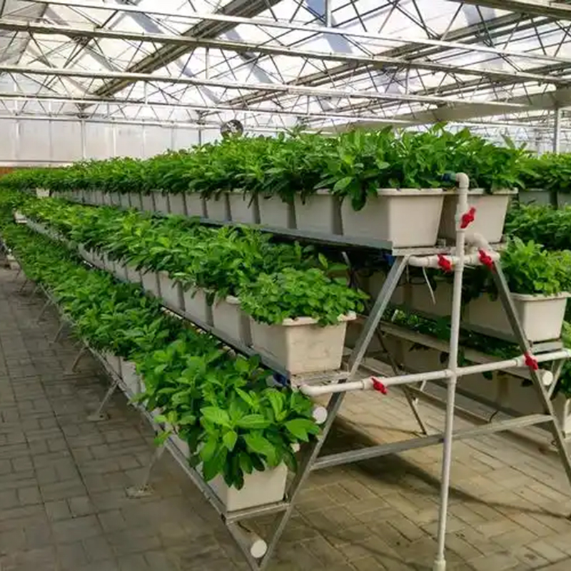 肇庆市植物工厂苗床 - 方案