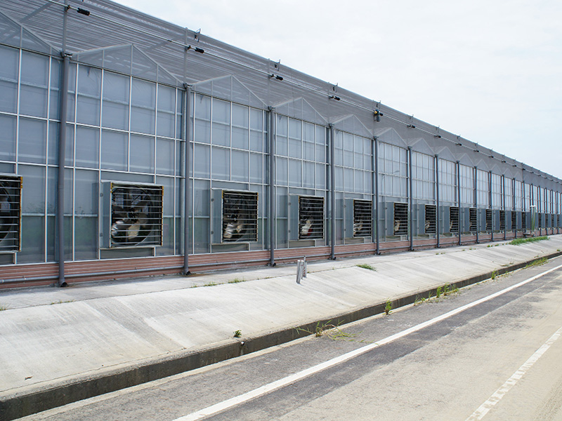 肇庆市玻璃大棚苗床 - 方案